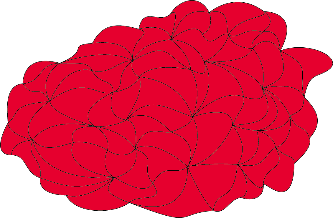 flower image